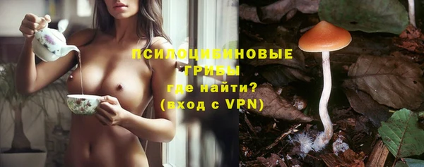герыч Алексеевка