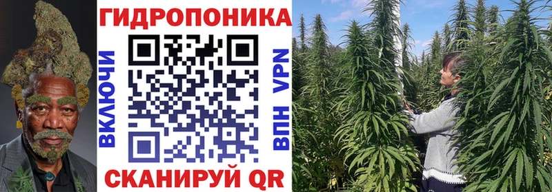 Марихуана планчик  купить наркотики цена  Конаково 